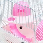 Клетка для грызунов «Пижон», 23×17×26 см, эмаль, белая - Фото 4