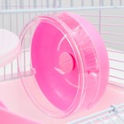 Клетка для грызунов «Пижон», 23×17×26 см, эмаль, белая - Фото 5