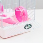 Клетка для грызунов «Пижон», 23×17×26 см, эмаль, белая - Фото 6