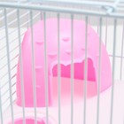 Клетка для грызунов «Пижон», 23×17×26 см, эмаль, белая - Фото 7