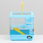 Клетка для грызунов «Пижон», 27×21×27 см, пластик, металл, голубая - Фото 2