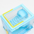 Клетка для грызунов «Пижон», 27×21×27 см, пластик, металл, голубая - Фото 4