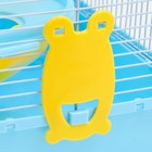 Клетка для грызунов «Пижон», 27×21×27 см, пластик, металл, голубая - Фото 5