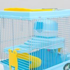 Клетка для грызунов "Пижон", 27 х 21 х 27 см, голубая - Фото 6