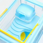 Клетка для грызунов "Пижон", 27 х 21 х 27 см, голубая - Фото 7