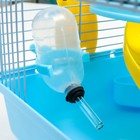 Клетка для грызунов «Пижон», 27×21×27 см, пластик, металл, голубая - Фото 8