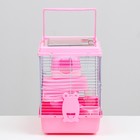 Клетка для грызунов "Пижон", 27 х 21 х 27 см, розовая - Фото 3