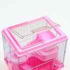 Клетка для грызунов "Пижон", 27 х 21 х 27 см, розовая - Фото 4