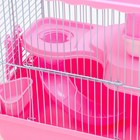 Клетка для грызунов "Пижон", 27 х 21 х 27 см, розовая - Фото 7
