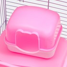 Клетка для грызунов "Пижон", 27 х 21 х 27 см, розовая - Фото 8