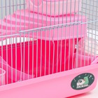 Клетка для грызунов "Пижон", 27 х 21 х 27 см, розовая - Фото 10