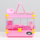 Клетка для грызунов "Пижон", 31 х 24 х 30 см, розовая - Фото 2