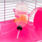 Клетка для грызунов "Пижон", 31 х 24 х 30 см, розовая - Фото 8