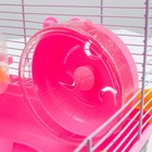 Клетка для грызунов "Пижон", 31 х 24 х 30 см, розовая - Фото 9