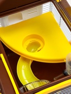 Клетка для грызунов «Пижон», 31×24×30 см, коричневая - Фото 7