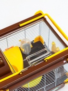 Клетка для грызунов «Пижон», 31×24×30 см, коричневая - Фото 9