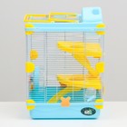 Клетка для грызунов «Пижон», 31×24×46 см, пластик, металл, голубая - Фото 2