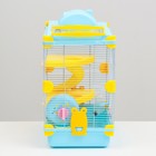 Клетка для грызунов «Пижон», 31×24×46 см, пластик, металл, голубая - Фото 3