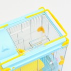 Клетка для грызунов «Пижон», 31×24×46 см, пластик, металл, голубая - Фото 4