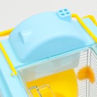 Клетка для грызунов «Пижон», 31×24×46 см, пластик, металл, голубая - Фото 5