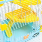 Клетка для грызунов «Пижон», 31×24×46 см, пластик, металл, голубая - Фото 6