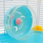 Клетка для грызунов «Пижон», 31×24×46 см, пластик, металл, голубая - Фото 7