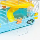 Клетка для грызунов «Пижон», 31×24×46 см, пластик, металл, голубая - Фото 9