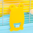 Клетка для грызунов «Пижон», 31×24×46 см, пластик, металл, голубая - Фото 10