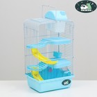 Клетка для мелких грызунов «Пижон», с наполнением, 23×17×45 см, голубая - Фото 2