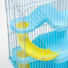 Клетка для мелких грызунов «Пижон», с наполнением, 23×17×45 см, голубая - Фото 6