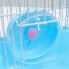 Клетка для мелких грызунов "Пижон", с наполнением, 23 х 17 х 40 см, голубая - Фото 8