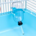 Клетка для мелких грызунов «Пижон», с наполнением, 23×17×45 см, голубая - Фото 9