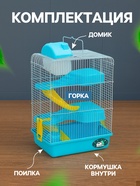 Клетка для мелких грызунов «Пижон», 27×21×40 см с наполнением, голубая - Фото 2
