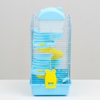 Клетка для мелких грызунов "Пижон", с наполнением, 27 х 21 х 45 см, голубая - Фото 3