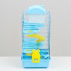 Клетка для мелких грызунов «Пижон», 27×21×40 см с наполнением, голубая - Фото 3