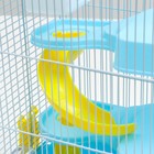Клетка для мелких грызунов "Пижон", с наполнением, 27 х 21 х 45 см, голубая - Фото 6
