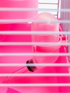 Клетка для мелких грызунов «Пижон», с наполнением, 27×21×40 см, розовая - Фото 10