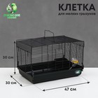 Клетка для грызунов «Пижон», 47×30×30 см, пластик, металл, чёрная - Фото 1