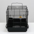 Клетка для грызунов «Пижон», 47×30×30 см, пластик, металл, чёрная - Фото 3