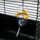 Клетка для грызунов «Пижон», 47×30×30 см, пластик, металл, чёрная - Фото 4