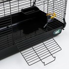 Клетка для грызунов "Пижон", 47 х 30 х 30 см, чёрная - Фото 6