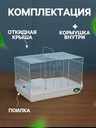 Клетка для грызунов «Пижон», 47×30×30 см, белая - Фото 2