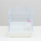 Клетка для грызунов "Пижон", 47 х 30 х 30 см, белая - Фото 3
