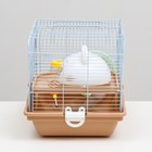 Клетка для грызунов «Пижон», 37×27×30 см с наполнением, коричневая - Фото 3