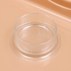 Клетка для грызунов «Пижон», 37×27×30 см с наполнением, коричневая - Фото 7