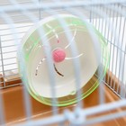 Клетка для грызунов «Пижон», 37×27×30 см с наполнением, коричневая - Фото 8