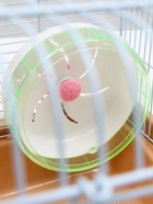 Клетка для грызунов «Пижон», 37×27×30 см с наполнением, коричневая - Фото 10