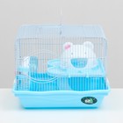 Клетка для грызунов "Пижон", с наполнением 37 х 27 х 30 см, голубая - Фото 2