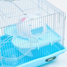 Клетка для грызунов "Пижон", с наполнением 37 х 27 х 30 см, голубая - Фото 4