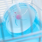 Клетка для грызунов "Пижон", с наполнением 37 х 27 х 30 см, голубая - Фото 7